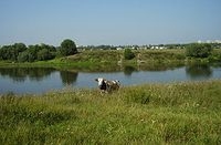 На воронежскую область надвигается сильная жара. МЧС объявило штормовое предупреждение На воронежскую область надвигается сильная жара. МЧС объявило штормовое предупреждение